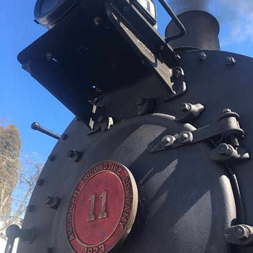 train 11 Steam into the Cove Everett Railroad