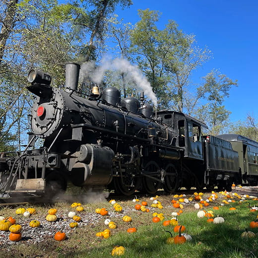 pumpkins and steam train Autumn Adventure Train Ride Everett Railroad