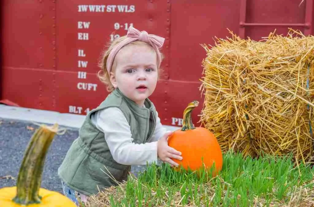 Pumpkin Patch Train Ride
